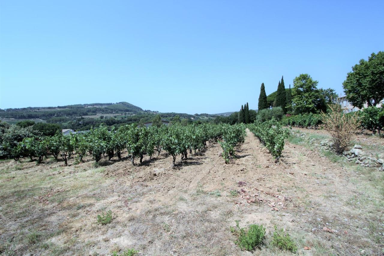 Bastide La Marraine Villa Ле Кастеле Екстериор снимка